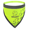 Visibility Dog Bandanas