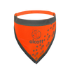 Visibility Dog Bandanas