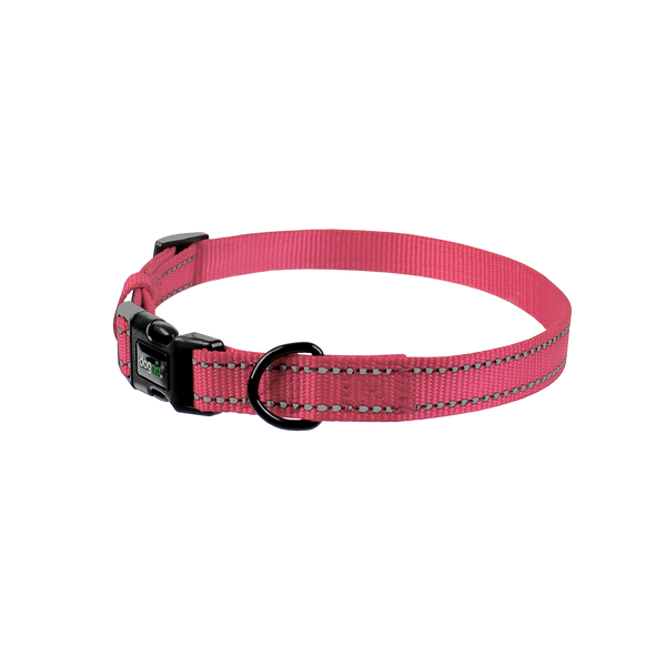 Everyday Nylon Collar