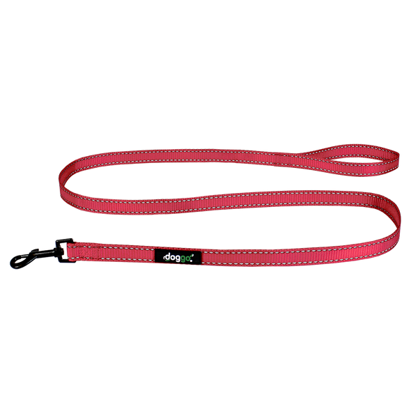 Everyday Nylon Leash 5 Feet Long with Reflective Stitching doggo PAW Pet Adventures Worldwide