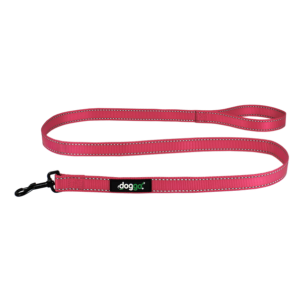 Everyday Nylon Leash