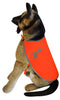 Visibility Dog Vest