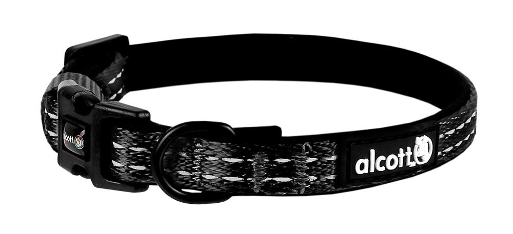 Adventure sales dog collar