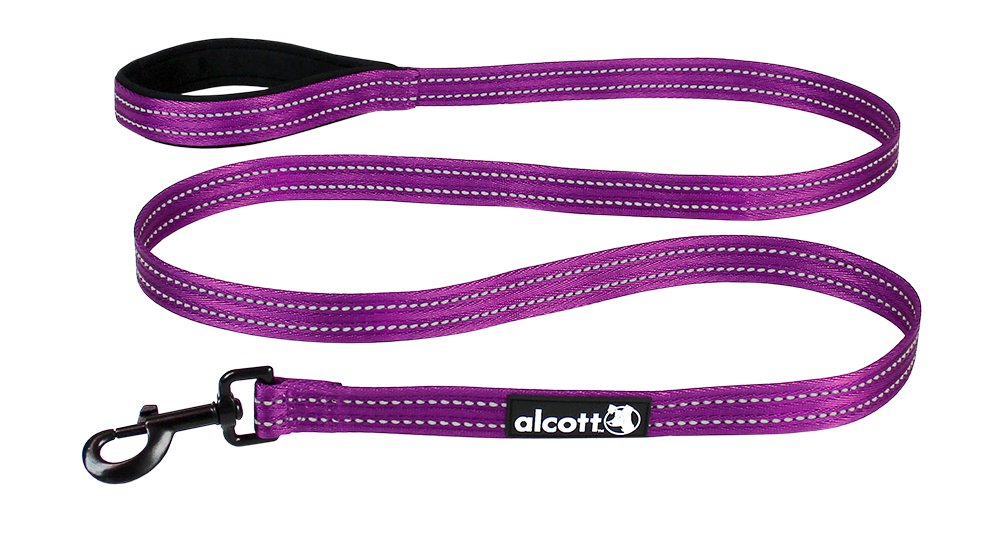 Alcott leash outlet