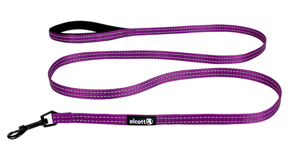 Adventure Leashes