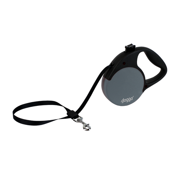 Top paw retractable leash deals