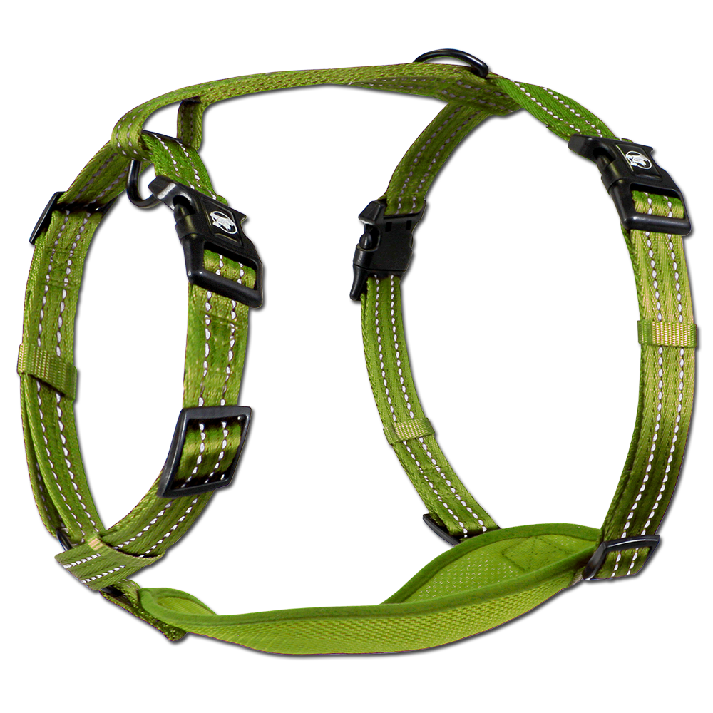 Adventure harness sales