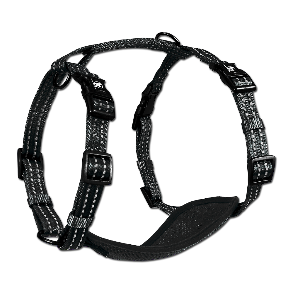 アクセサリー (GW SALE) OUTER SHELL ADVENTURE Harness アクセサリー (GW SALE) OUTER SHELL ADVENTURE Harness