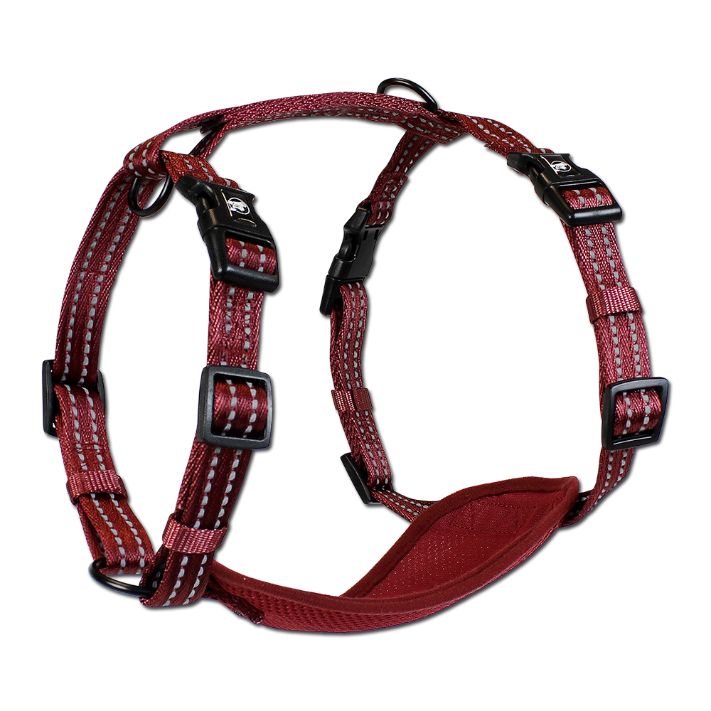 Adventure harness deals