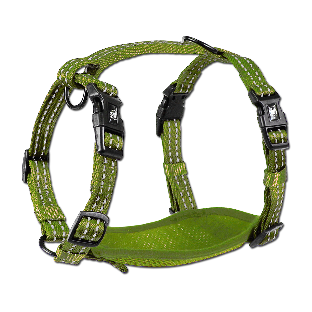 Adventure Harnesses PAW Pet Adventures Worldwide