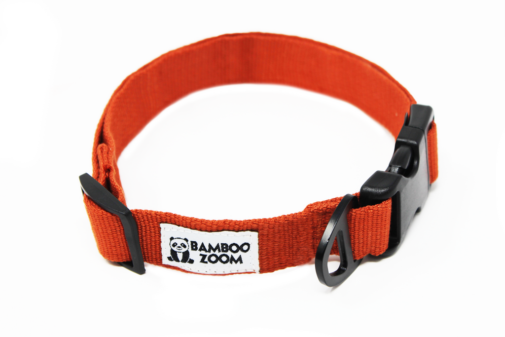 Bamboo 2024 dog collar