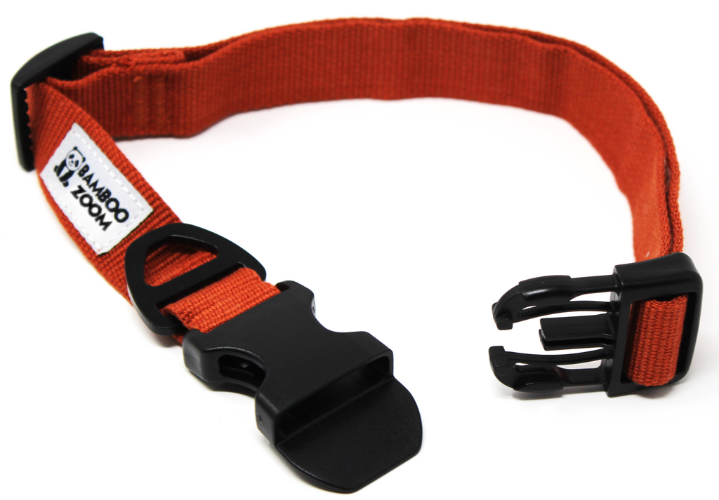 Bamboo dog collar with handle outlet